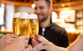 Auf diesem Bild halten junge Menschen ein Glas Bier in der Hand und st0ßen an. 